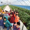 해늘농장 이미지