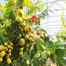 김지웅농장 이미지