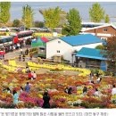 한국철도의 심장으로 뻗어가는 대전역, 축제로 다시 태어나 이미지