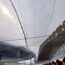 자유로 레저 | 취식, 취사 가능 워터파크 물놀이 - 자유로레저 후기/평상 자리 추천