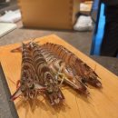 스시사 | [스시사인조] 오직 4명을 위한 이대성 셰프님의 오마카세 차력쇼, 디너 후기