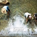 정선초교가수분교 이미지