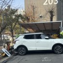 댕댕지구 | [청주 용암동] 강아지가 없어도 갈 수 있는 애견카페!! 와글와글 댕댕 방문 후기