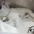 부산종합동물병원 이미지