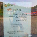 방량로농장 | 홍천 수타사 불두화 작약 명소 공작산생태숲 산소길 , 곰바위농장 ( 강원도 5월 , 6월 여행지 추천 )