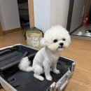 무안낙지2호점 | 배타고 제주도 여행| 목포에서 제주도로 퀸제누비아 2호 이용후기 차 선척, 제주도 가기전 무안 여행