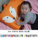 쁘띠 끌레오 | [유아베개/밀로앤개비] 동물 친구와 함께 수면습관 기르자!!