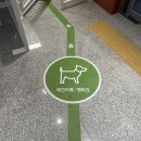하루야성인용품 | 서울 애견운동장 추천 <털로덮인친구들> 목동 펫파크점 솔직후기 :: 오목교 애견동반 카페