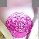 멘토스병원 | 멘토스와 함께하는 광주방역: 믿음직한 해충 방제와 위생 관리의 모든 것