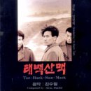 태백산맥 (太白山脈, 1994)전곡을 보내드립니다 이미지