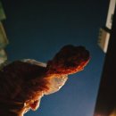 마마모텔 이미지