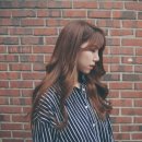 코튼팩토리 네이버블로그
