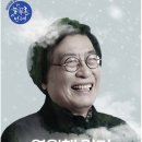 영월-40