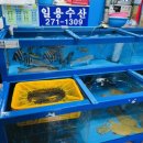 일용횟집