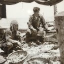 백령수산 | 꽃게