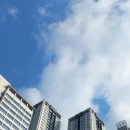 PARK 행정사사무소 이미지