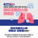 마이코플라스마 폐렴균 감염증 소식지 안내 이미지