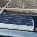 화산 태양광발전소 이미지