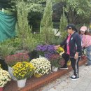 시장 앞 공터 이미지