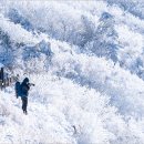 덕유산 이미지