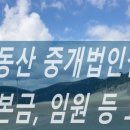 소유부동산중개법인 이미지