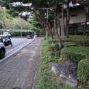 주식회사숲나무 이미지