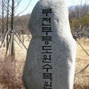 부천무릉도원수목원 Daum카페