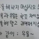 옥정네일피그속눈썹
