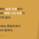 와이지애드 네이버블로그