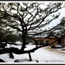 서일 농장 이미지