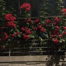 뷰티 발레 클래스(중급반)_50+ | 자신에게도 다정해지길