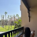 야자수하우스 | 이집트 카이로 메리어트 메나하우스 피라미드뷰 호텔, 수영장 후기