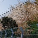 오라버니 이미지