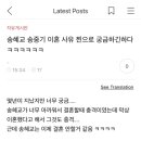 송혜교 송중기 이혼 사유 궁금해하는건 빼박 소쌍아님? 이미지