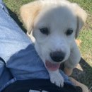 주연민박 이미지