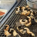 장어의꿈 이미지