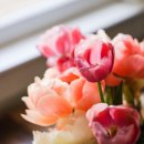 범주카서비스 이미지