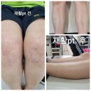 한울 태권도 아카데미 이미지