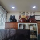 승룡검도관 이미지