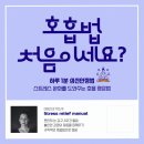 건강하고 행복한 일상을 위한 스트레스 & 우울감 긍정 관리법 | 스트레스 관리 완벽 가이드: 4444 호흡법으로 즉시 마음 진정시키기