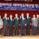 도이세라믹 이미지