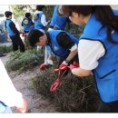 개금1동-20 이미지