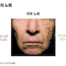 피부N(피부엔)