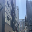 11620-11-104-14 | [도쿄 긴자 호텔] 호텔 아마넥 긴자 이스트 및 주변 가게 추천 후기