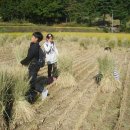 효탑초등학교 이미지