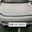 대륙시트