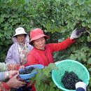 설천면118 이미지