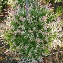 등불농장 이미지