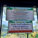 달나라커피 | 서산 애견동반카페 뛰어놀기 좋은 야외운동장 달나라커피