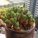 날개옷수선 - 북구 복현로 182-27 | 날개옷수선
